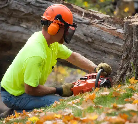 tree services Welcome